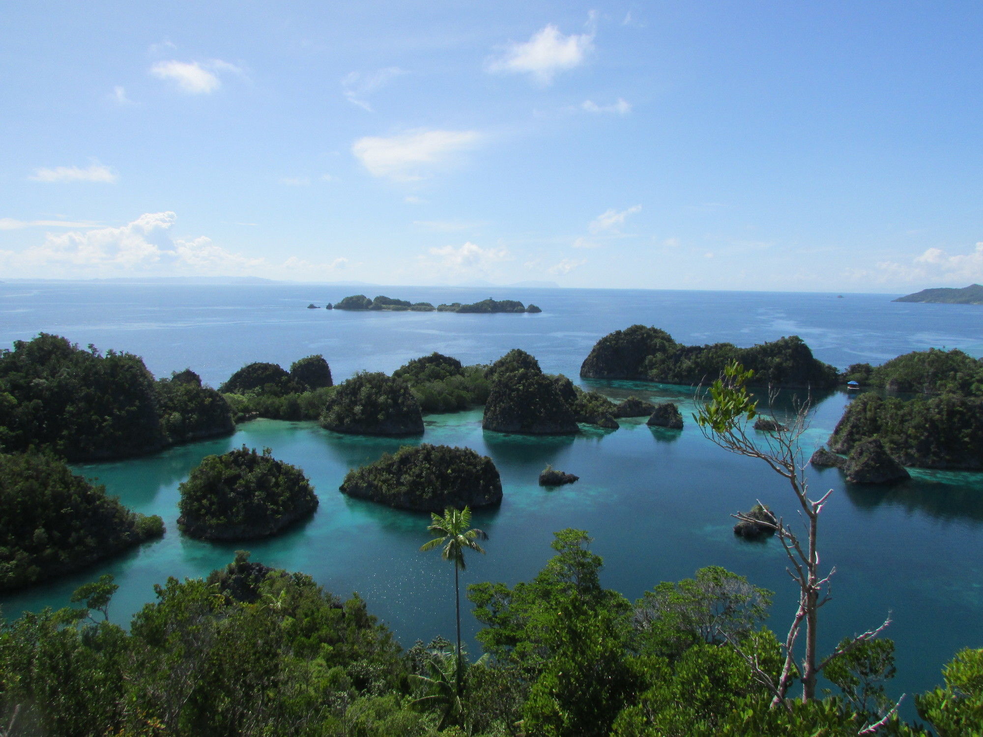 Swiss-Belhotel Sorong Exteriör bild